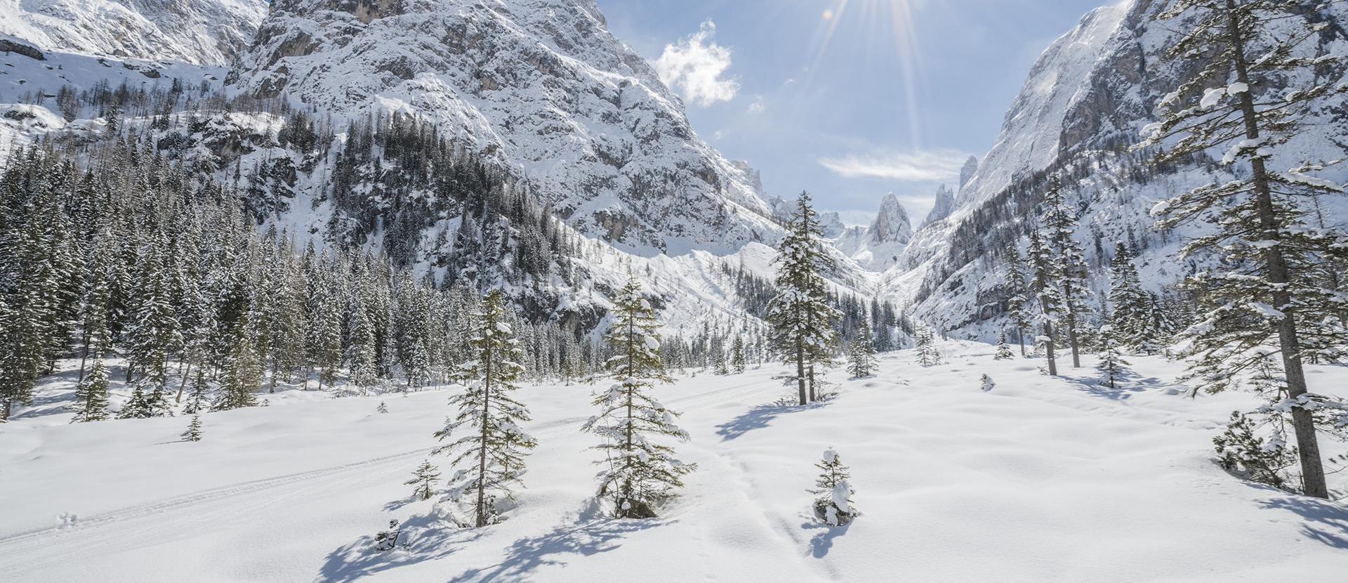 winter-landschaft-4