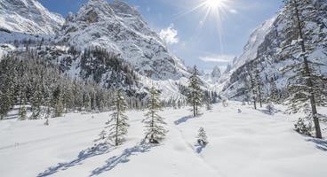 winter-landschaft-4